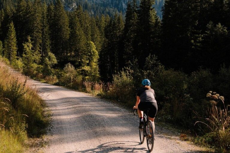 Photo : Vélo de ville